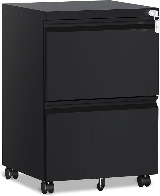 RAVIGIN 2 Drawer File Cabinet，Mobile Filing Cabinet with Lock and Wheels，Un-Assembled Metal Under Desk File Cabinets for A4/Letter/Legal Size（Black
