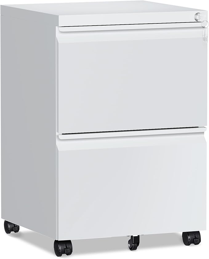 RAVIGIN 2 Drawer File Cabinet，Mobile Filing Cabinet with Lock and Wheels，Un-Assembled Metal Under Desk File Cabinets for A4/Letter/Legal Size（White