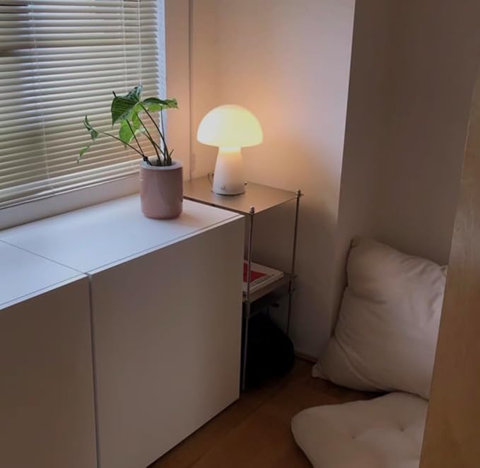 Modular Stainless Steel Shelving Unit, Silver Metal Storage Rack, Modern Living Room Side Table,Coffe Table(H24.4'')