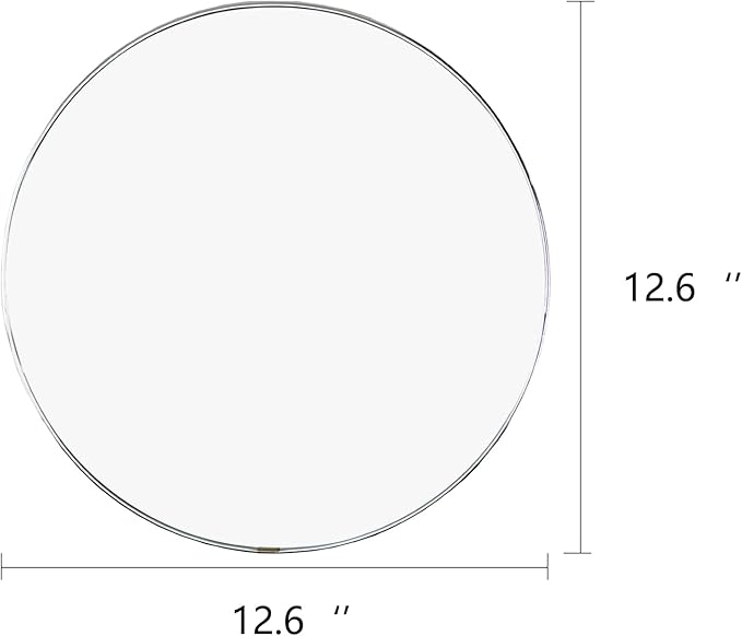 Funerom Sliver Round Wall Mirror 12.6 Inches Circle Mirror Bathroom Mirrors