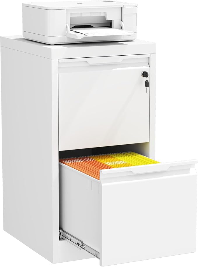2 Drawer File Cabinet with Lock, Heavy Duty Steel Under Desk Vertical Filing Cabinet for Home Office Use, Printer Stand with Drawers, for A4/Letter-Size Files, Easy to Assemble, White