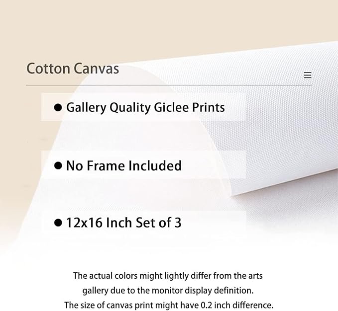 Baccone Beige Abstract Wall Art Set of 3 Neutral Canvas Wall Art Prints Boho Abstract Picture Modern Abstract Art Wall Decor Minimalist Artwork for Living Room Beroom Decor 12x16 Inch UNFRAMED