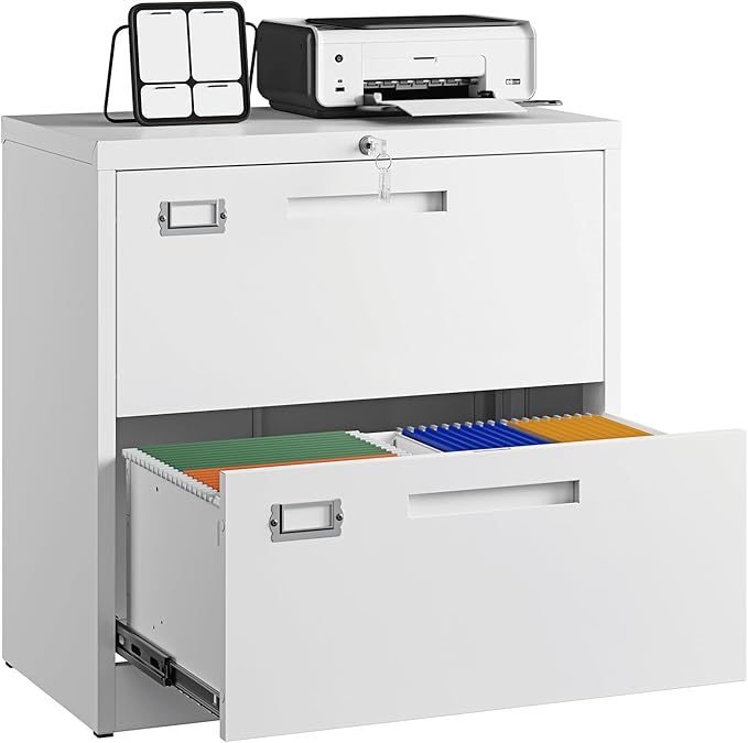 Letaya 2 Drawer File Cabinets with Lock,Metal Lateral Filing Storage Cabinet Printer Stand,White Steel Home Office Cabinet for Hanging Files Letter/Legal/A4 Size (White, H27.95×W28.35×D15.74)