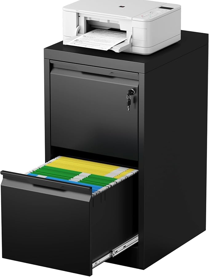 2 Drawer File Cabinet with Lock, Heavy Duty Steel Under Desk Vertical Filing Cabinet for Home Office Use, Printer Stand with Drawers, for A4/Letter-Size Files, Easy to Assemble,Black