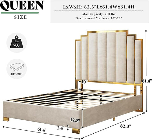 AMERLIFE Queen Size Upholstered Bed, Modern Velvet Bed Frame with 61.4” Tall Gold Trim Headboard, No Box Spring Needed, Cream
