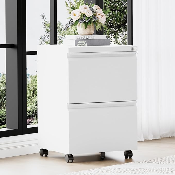 RAVIGIN 2 Drawer File Cabinet，Mobile Filing Cabinet with Lock and Wheels，Un-Assembled Metal Under Desk File Cabinets for A4/Letter/Legal Size（White