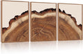 HPINUB Tree Rings Wood Wall Art Framed Set, Modern Beige Wood Stump Wall Decor, Abstract Tree Spiral Wall Painting,Nature-Inspired Art Print for Living Room, Bedroom, Office(Set of 3,12X16 Inch)