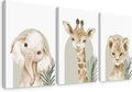 Nursery Animal Wall Art Decor Safari Jungle Nursery Pictures Baby Boy Room Canvas Wall Decor Woodland Animals Prints Safari Giraffe Artwork for Boys Kids Bedroom 12x16 Inch Wrapped Canvas Set of 3