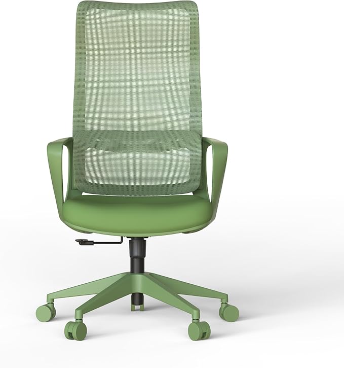High Back Ergonomic Colorful Office Chair, Breathable Nylon Mesh Desk Chair with Adjustable Lumbar Support, 300LBS Swivel Rolling Computer Chair for Home Office Work, Green (Americana, Green)