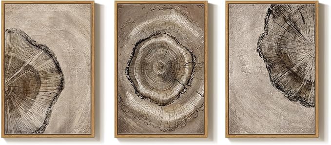 Large Framed Neutral Vintage Wall Art for Living Room, 3 Piece Retro Rustic Tree Ring Prints Canvas Artwork for Walls, Nature Paintings Pictures for Bedroom Hallway Home Office Wall Decor, 24x36 Inch