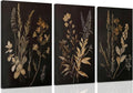 Black Botanical Canvas Wall Art Set of 3 Vintage Floral Art Moody Flower Wall Decor Dark Academia Poster Painting Prints Pictures for Bedroom Living Room 12x16 Inch Framed