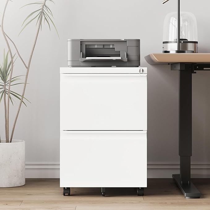 RAVIGIN 2 Drawer File Cabinet，Mobile Filing Cabinet with Lock and Wheels，Un-Assembled Metal Under Desk File Cabinets for A4/Letter/Legal Size（White