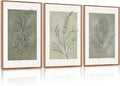 CHDITB Sage Green Framed Canvas Wall Art, Neutral Botanical Line Wall Decor, Olive Tone Plant Poster, Modern Farmhouse Floral Decor, Boho Minimalist Nature Prints for Bedroom Office Decor 16"x24"X3