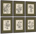Vintage Floral Wall Art Sketch Flower Prints Antique Botanical Canvas Wall Art Decor Vintage Etchings Floral Poster Green Botanical Painting Sage Green Artwork for Bedroom 8x10x6 Inch Wood Framed
