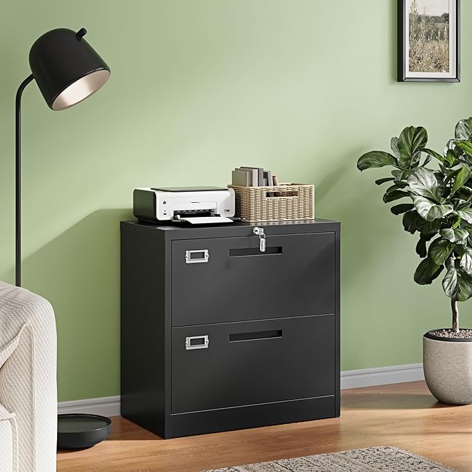 Letaya 2 Drawer File Cabinets with Lock,Metal Lateral Filing Storage Cabinet Printer Stand,Black Steel Home Office Cabinet for Hanging Files Letter/Legal/A4 Size (Black, H27.95×W28.35×D15.74)