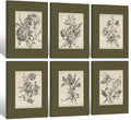 Vintage Floral Wall Art Sketch Flower Prints Antique Botanical Canvas Wall Art Decor Vintage Etchings Floral Poster Green Botanical Painting Sage Green Artwork for Bedroom 8x10x6 Inch Wrapped Canvas
