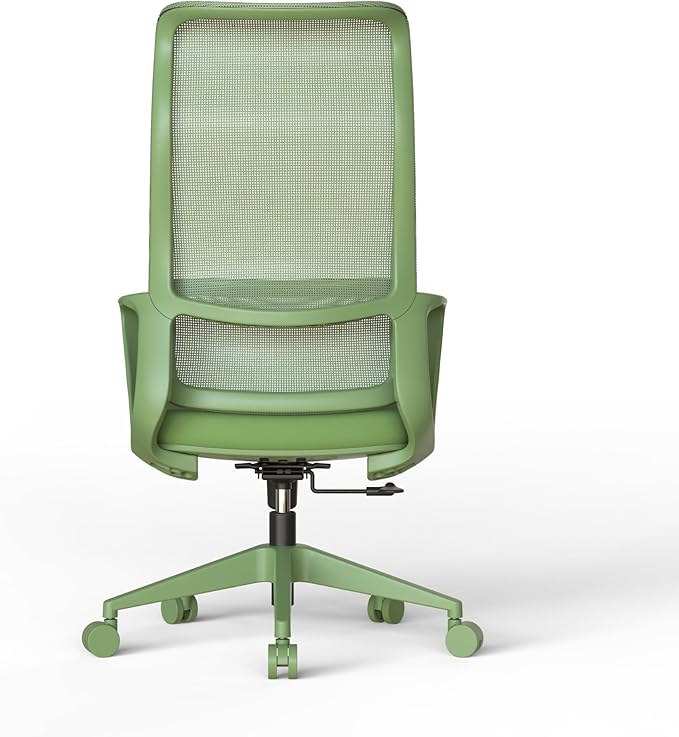 High Back Ergonomic Colorful Office Chair, Breathable Nylon Mesh Desk Chair with Adjustable Lumbar Support, 300LBS Swivel Rolling Computer Chair for Home Office Work, Green (Americana, Green)