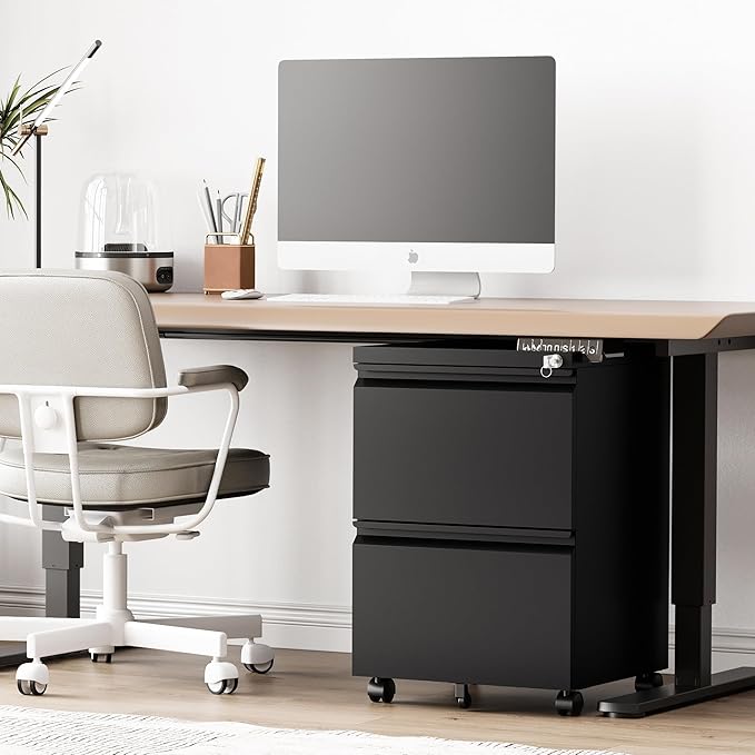RAVIGIN 2 Drawer File Cabinet，Mobile Filing Cabinet with Lock and Wheels，Un-Assembled Metal Under Desk File Cabinets for A4/Letter/Legal Size（Black