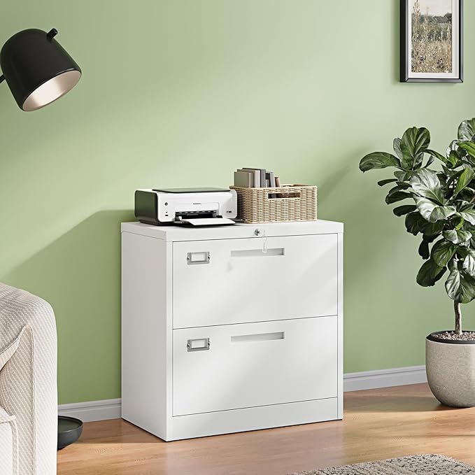 Letaya 2 Drawer File Cabinets with Lock,Metal Lateral Filing Storage Cabinet Printer Stand,White Steel Home Office Cabinet for Hanging Files Letter/Legal/A4 Size (White, H27.95×W28.35×D15.74)