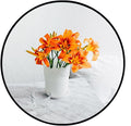 Oruii Small Round Mirror, Black Round Mirror 16 inch, Small Circle Wall Mounted Mirrors for Bathroom, Living Room, Bedroom, Vanity, Entryway, Hallway