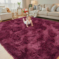 Shaggy Rugs for Bedroom Living Room Dorm Nursery Home Decor Aesthetic (Burgundy, 5 x 8)