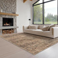 Fmfunctex 3x5 Washable Area Rug Terracotta Vintage Neutral Distressed Non Slip Low Pile Traditional Retro Indoor Carpet for Entryway Entrance Soft Rug Living Room Bedroom Kitchen Dining Office Laundry