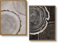HUARCEY Framed Canvas Art Print Set 2PCS Wood Tree Ring Spiral Wall Art, Modern Neutral Nature Print Set of 2 Minimalist Abstract Nordic Wall Decor, Diptych Log Slice Wood Stump Painting