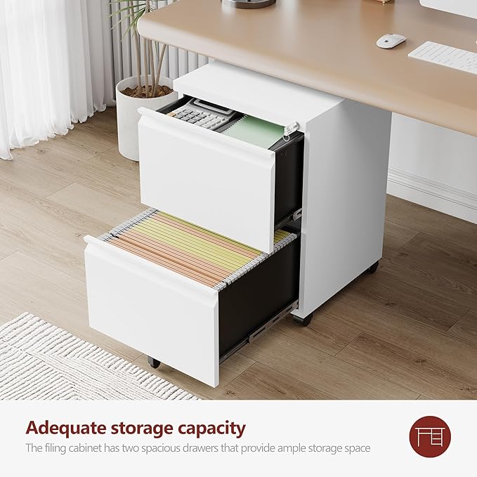 RAVIGIN 2 Drawer File Cabinet，Mobile Filing Cabinet with Lock and Wheels，Un-Assembled Metal Under Desk File Cabinets for A4/Letter/Legal Size（White