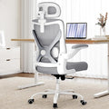 Ergalithic Ergonomic Office Chair - Computer Desk Chairs Comfy, Mesh High-Back Gaming Chair with Adjustable Lumbar Support, Executive Task Chair for Adults, Comfortable for Long Hours (Grey Silver)