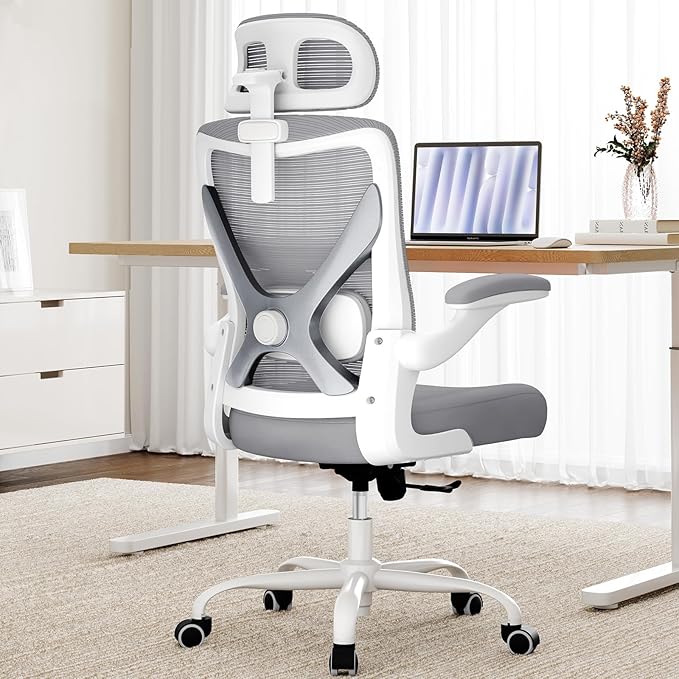 Ergalithic Ergonomic Office Chair - Computer Desk Chairs Comfy, Mesh High-Back Gaming Chair with Adjustable Lumbar Support, Executive Task Chair for Adults, Comfortable for Long Hours (Grey Silver)