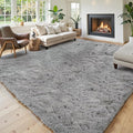 Area Rugs 9x12 Living Room, Large Area Rug Shag Shaggy Carpet Soft Plush Furry Bedside Rug, Machine Washable Area Rugs for Bedroom Kids Girls Boys Home Decor Anti Slip(9 x 12, Light Grey)