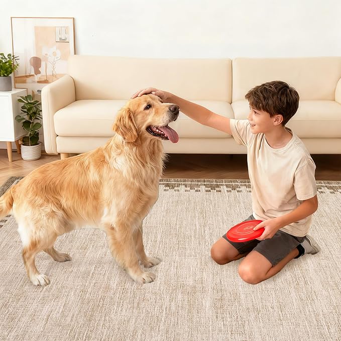 GarveeHome Brown Bordered 10x13 Large Area Rug for Living Room Home Offcie Modern Geometric Washable Indoor Carpet Minimalist Neutral Low Pile Bedroom Rug, Beige