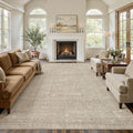 7x9 Area Rug Living Room: Washable Large Vintage Rug Neutral Non-Slip Soft Stain Resistant Indoor Carpet for Bedroom Nursery Dining Room Under Table Bed Home House Office Playroom - Brown