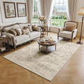 FMFUNCTEX 5x7 Washable Area Rug Neutral Vintage Brown Distressed Non Slip Low Pile Traditional Indoor Carpet for Living Room Bedroom Soft Retro Mat Throw Rug for Dining Office Kitchen Dorm Entryway