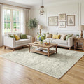 FMFUNCTEX 5x7 Washable Area Rug Neutral Green Distressed Vintage Non Slip Low Pile Traditional Indoor Carpet for Living Room Bedroom Soft Retro Mat Throw Rug for Dining Office Kitchen Dorm Entryway